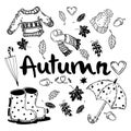 Vector of autumn. collection of fall season elements